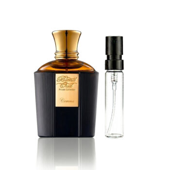 Luxurious dark perfume bottle with a gold cap and labeled front, beside a clear spray atomizer on white background.